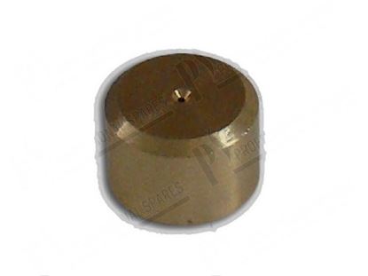 Picture of Flow control  0,6 mm - dim.  12x9 mm for Zanussi, Electrolux Part# 2091