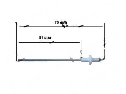 Picture of Level probe  2,5x51 mm for Zanussi, Electrolux Part# 2632