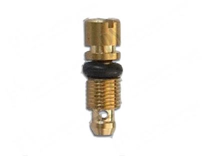 Picture of Minimum screw  0,75 mm - PEL 20/21 for Zanussi, Electrolux Part# 2769