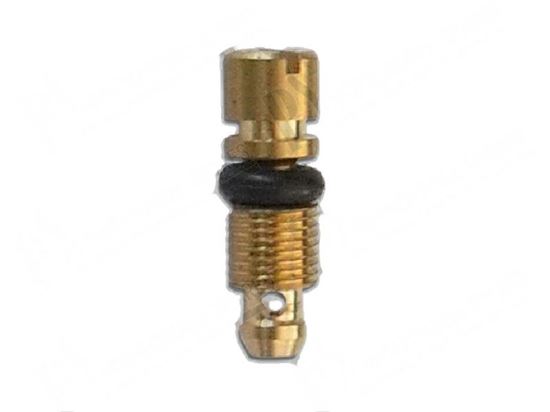 Picture of Minimum screw  0,75 mm - PEL 20/21 for Zanussi, Electrolux Part# 2769