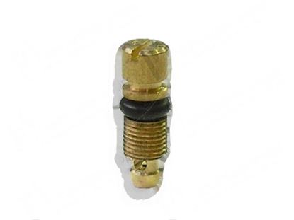 Picture of Minimum screw  0,60 mm - PEL 20/21 for Zanussi, Electrolux Part# 2904