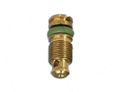 Picture of Minimum screw  0,55 mm GPL - PEL 22/25 for Zanussi, Electrolux Part# 4260