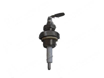 Picture of Level probe L=25 mm for Zanussi, Electrolux Part# 5766