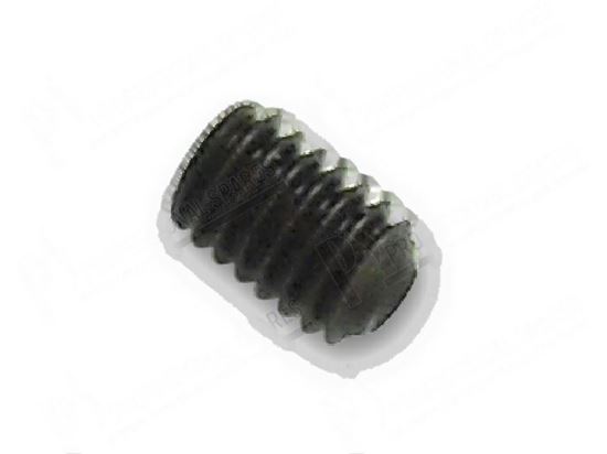 Picture of Grub screw M4x6 mm for Zanussi, Electrolux Part# 46258