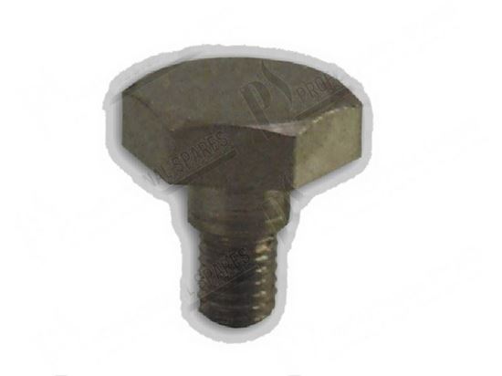 Picture of Hexagon screaw TE M5x6 mm CH13 for Zanussi, Electrolux Part# 53759