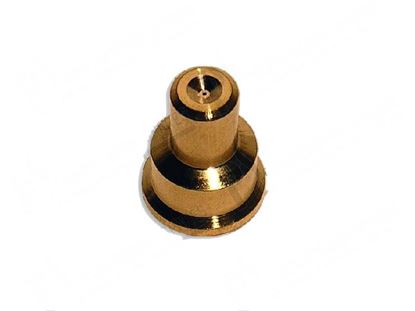 Picture of Pilot burner nozzle 2 x  0,25 mm GN L=11,50 mm for Zanussi, Electrolux Part# 54037