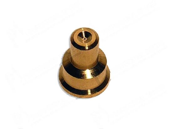 Picture of Pilot burner nozzle 2 x  0,45 mm L=11,50 mm for Zanussi, Electrolux Part# 54038