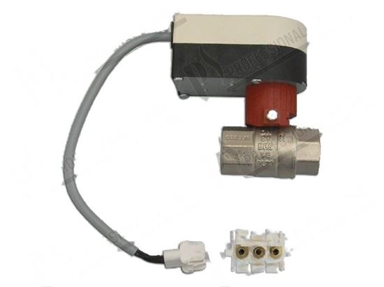 Picture of Motor-operated valve 3/4"FF 3W 24V 50/60Hz for Zanussi, Electrolux Part# 59004