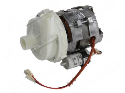 Bild von Rinse pump 200W 230V 50Hz 0,9A DX for Elettrobar/Colged Part# 80627