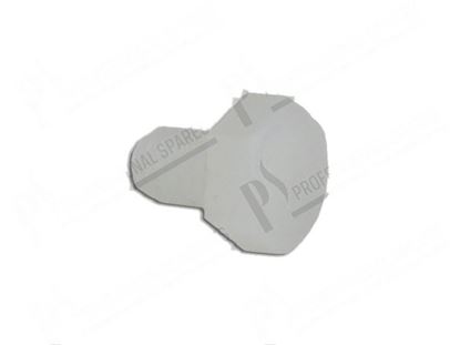 Picture of ScrewTE M4x6 mm - plastic for Elettrobar/Colged Part# 80998