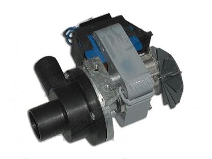 Picture of Drain pump 100W 220V 50Hz for Comenda Part# 100342