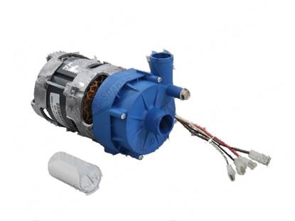 Изображение Rinse pump 1 phase 290W 230V 1,3A 50Hz for Comenda Part# 100802