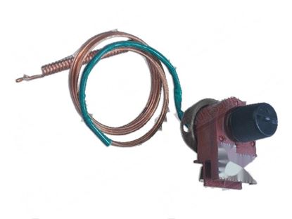 Immagine di Safety thermostat 2P 110Â°C for Comenda Part# 120526