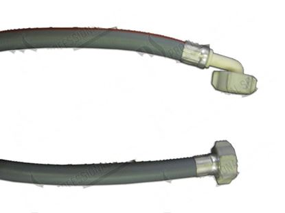 Bild von Rubber feeder hose 3/4" L=1500 mm for Elettrobar/Colged Part# 143120