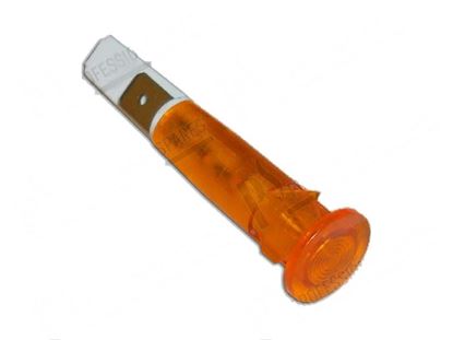 Bild von Orange pilot lamp  10 mm 240V - self-locking for Elettrobar/Colged Part# 216018