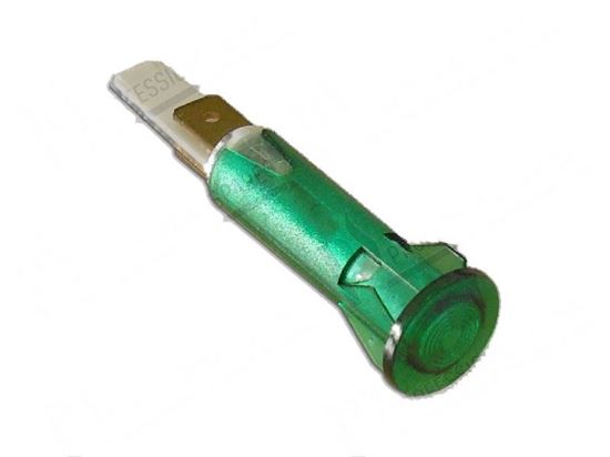 Obrazek Green pilot lamp  10 mm 240V - self-locking for Elettrobar/Colged Part# 216019