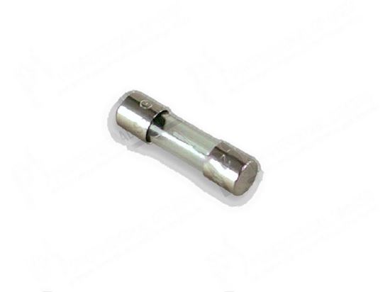 Immagine di Fuse  5x20 mm 4A slow for Elettrobar/Colged Part# 228010