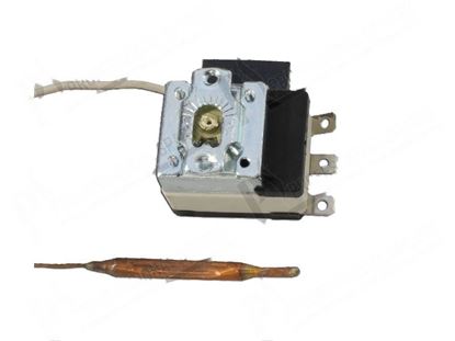 Immagine di Operating thermostat 1P 65 ·85Â°C for Elettrobar/Colged Part# 236060