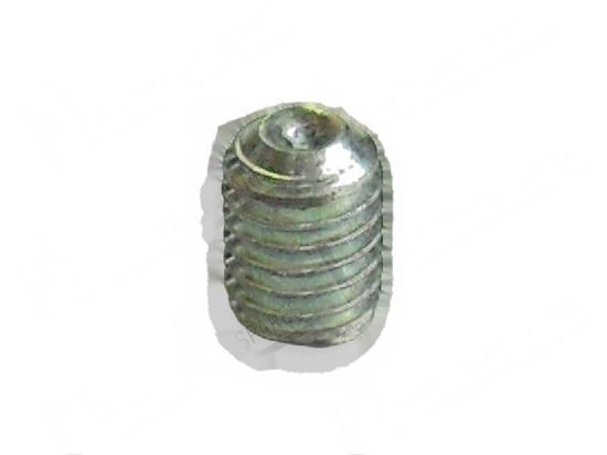 Picture of Grub screw M6x6 mm for Comenda Part# 250204