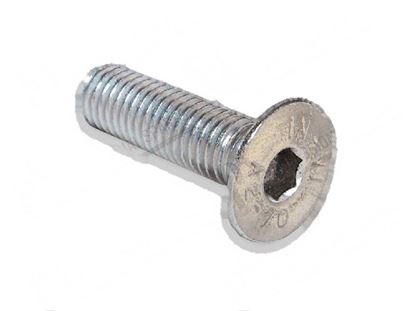 Picture of Countersunk screw TS M8x25 mm INOX for Comenda Part# 260331