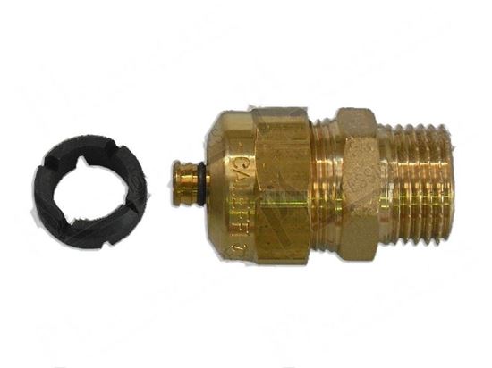 Picture of Connection ext. 12 ·14 mm - M 1/2" for Comenda Part# 290218