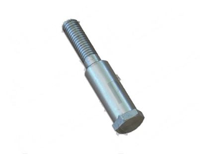 Immagine di Pin  12xLtot.60 mm for Comenda Part# 340443