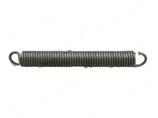 Picture of Tension springs  45x310 mm for Meiko Part# 430006