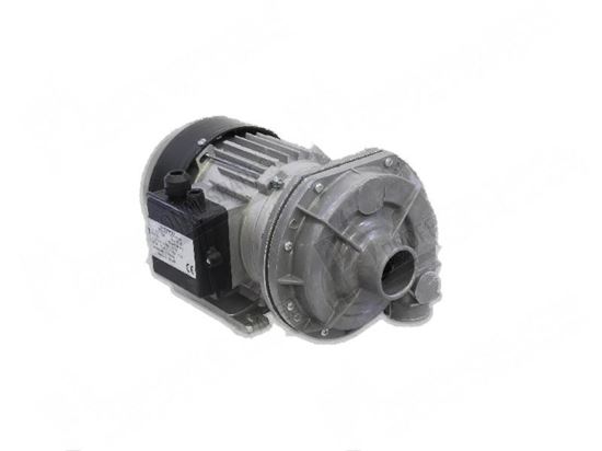 Picture of Rinse pump 3 phase 550W 200-240V/346-415V 50Hz for Meiko Part# 501088