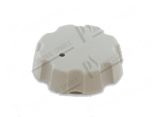 Picture of Plug  23,40 mm for Meiko Part# 620384