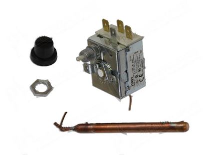 Immagine di Safety thermostat 1P 90-110 Â°C for Elettrobar/Colged Part# 927057