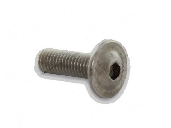 Picture of Screw M5x16 mm for Winterhalter Part# 2010307