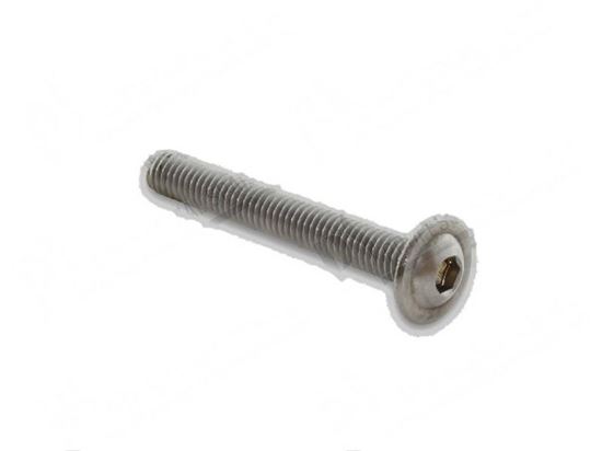 Picture of Round head screw M6x45 mm for Meiko Part# 9541450