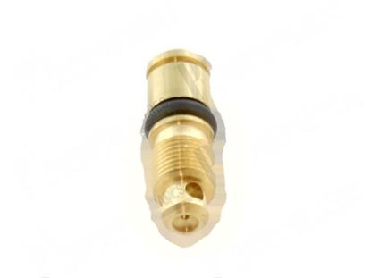 Bild von Minimum screw  1,20 mm for Fagor Part# 12008840