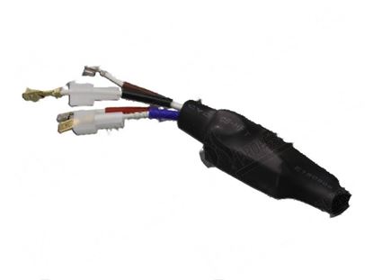 Изображение Cable PTC with rectifier bridge for Fagor Part# 12120341