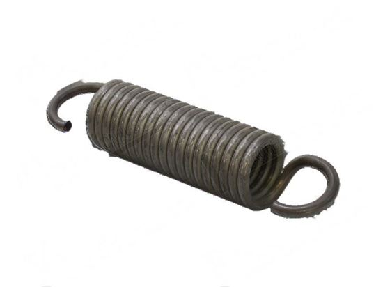 Picture of Tension spring  42x116xLtot200 mm for Fagor Part# 12147406