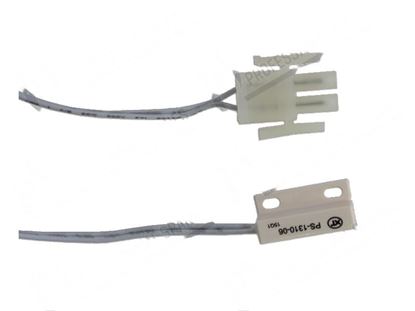 Image de Magnetic microswitch for Scotsman Part# 1100056306