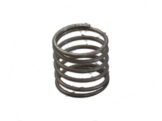 Picture of Compression springs  23xh22 mm for Hobart Part# 00119229000, 00-119229-000, 119229