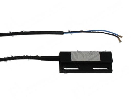 Picture of Magnetic microswitch 100VA 0,2A 250Vac/dc IP67 for Hobart Part# 00229517000, 00-229517-000, 229517