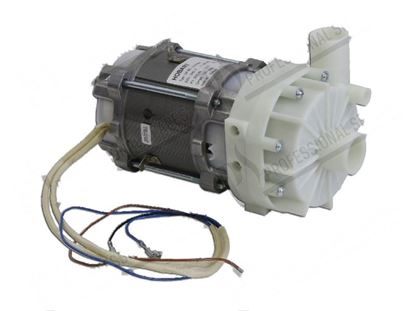 Bild von Rinse pump 1 phase 250W 220-240V 1,2A 50Hz SX for Hobart Part# 00324093001, 00-324093-001, 00324093016,
00-324093-016, 003240931, 00-324093-1,
0032409316, 00-324093-16, 3240931,
324093-1, 32409316, 324093-16,
3240931V, 324093-1V