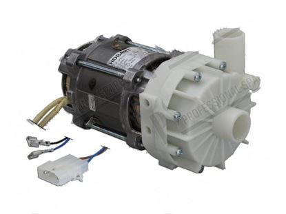 Obrázek Rinse pump 1 phase 290W 220/240V 60Hz 1,4A for Hobart Part# 00324093023, 00-324093-023, 32409323, 324093-23