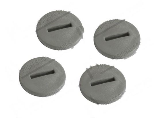 Picture of Plugs for wash arm [4 pcs] for Hobart Part# 00-324785-000, 00886610000, 00-886610-000, 324785, 886610