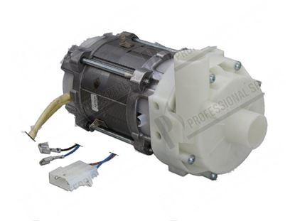 Bild von Rinse pump 1 phase 270W 220-240V 1,3A 50Hz for Hobart Part# 00324914001, 00-324914-001, 00-324914-1, 3249141, 324914-1, 3249141V, 324914-1V