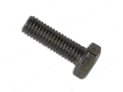 Picture of Hexagonal head screw TE M6x20 mm - INOX for Hobart Part# 00602571000, 00-602571-000, 602571