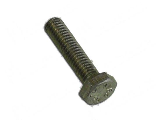 Picture of Hexagonal head screw TE M6x40 mm - INOX for Hobart Part# 00602643000, 00-602643-000, 602643