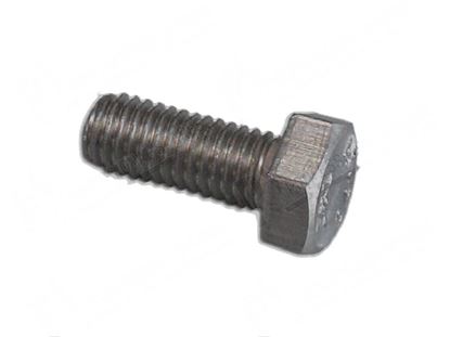 Picture of Hexagonal head screw TE M8x25 mm - INOX for Hobart Part# 00602976000, 00-602976-000, 00699739041, 00-699739-041, 602976, 699739041, 699739-041, SC04113, SC-041-13, SC4113, SC-41-13,