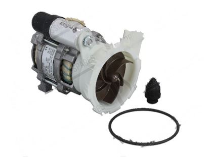 Foto de Rinse pump 1 phase 100W 220-240V 50Hz 0.46A for Hobart Part# 00-775465-001, 00897929000, 00-897929-000, 7754651, 775465-1, 897929