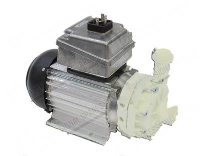 Billede af Rinse pump 1 phase 240W 220-240V 50Hz 1A for Hobart Part# 00781237010, 00-781237-010, 78123710, 781237-10