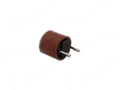 Picture of Fuse 250mA 250V slow for Hobart Part# 0091478200009, 00-914782-00009, 00914782009, 00-914782-009