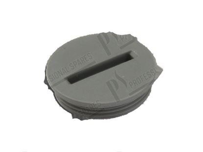 Изображение Plug  22 mm for Hobart Part# 01240028001, 01-240028-001, 012400281, 01-240028-1