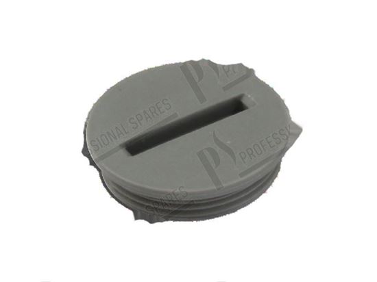 Picture of Plug  22 mm for Hobart Part# 01240028001, 01-240028-001, 012400281, 01-240028-1